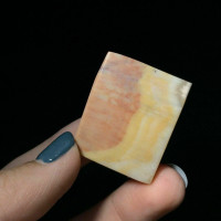 Rectangular Agatized Fossil Coral Cabochon 170805 Red Yellow Gemstone Jewelry 