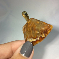Agatized Fossil Coral Pendant 170806 with Gold Colored Metal Emotional Healing