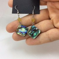 Beautiful Abalone Shell Earrings 170903 Metaphysical Spiritual Healing