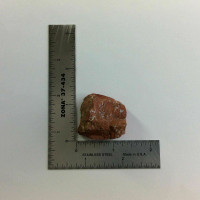 Rough Brecciated Jasper Specimen 170708 31.9mm Stone of Vitality Strength 