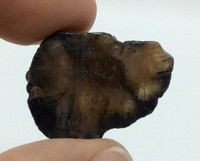 Chiastolite Specimen 170614 Stone of Balance and Stability Metaphysical 