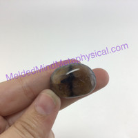 MeldedMind153 Chiastolite Pocket Stone 26mm Tumbled Specimen Metaphysical
