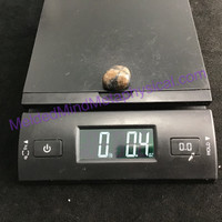 MeldedMind156 Chiastolite Pocket Stone 23mm Tumbled Specimen Metaphysical