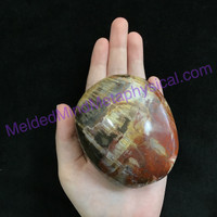 MeldedMind162 Petrified Wood Massage Stone 82mm Massage Therapy Fossil Stone Hol