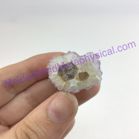 MeldedMind202 Cactus Amethyst Crystal 35mm S. Africa Spirit Quartz