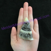 MeldedMind Phantom Banded Zebra Calcite 2.65in Natural Golden Black Crystal 116