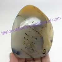MeldedMind Polished Dendritic Agate 3.75in Natural Inclusions Crystal 149