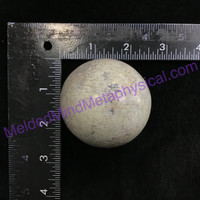 MeldedMind048 Madagascar Polished Dino Bone Sphere 56mm Prehistoric Dinosaur