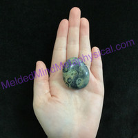 MeldedMind158 Swirly Kambaba Jasper Crocodile Palm Stone 41mm Metaphysical