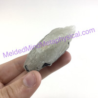 MeldedMind Black Tourmaline in Quartz Specimen 2.25in Natural Stone Crystal
