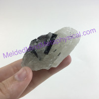 MeldedMind Black Tourmaline in Quartz Specimen 2.25in Natural Stone Crystal