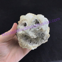 MeldedMind Fossil Coral w/ Druzy 3.93in 99mm Natural Balance 022