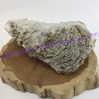 MeldedMind Agatized Fossil Coral Specimen 7.50in 190mm Natural Balance 842