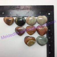 MeldedMind One (1) Polychrome Jasper Heart Power Stone Desert 289