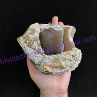 MeldedMind Agatized Fossil Coral Specimen 4.85in 123.3mm Natural Balance 794