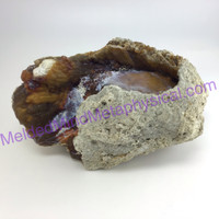 MeldedMind Agatized Fossil Coral Specimen 8.5in 215.9mm Natural Balance 853