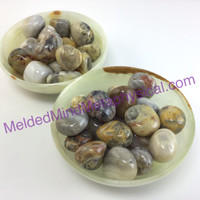 MeldedMind One (1) Indian Agate Tumble "A" 2 Sizes Natural Brown Crystal 040