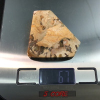 MeldedMind Grade "A" Polished Petrified Wood Slab 2.44in Pentagon Ancient 051