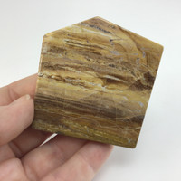 MeldedMind Grade "A" Polished Petrified Wood Slab 2.28in Pentagon Ancient 063