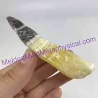 MeldedMind Phantom Banded Zebra Calcite 3.43in Natural Golden Black Crystal 167