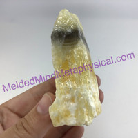 MeldedMind Phantom Banded Zebra Calcite 2.74in Natural Golden Black Crystal 166