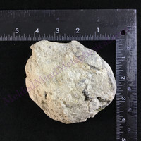 MeldedMind Quartz Geode 4.53in Natural Druzy Crystal 550