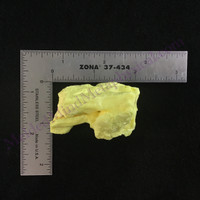 MeldedMind Louisiana Sulphur Sulfur Specimen 2.12in Natural Yellow Mineral 031