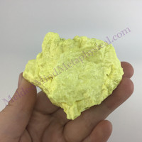 MeldedMind Louisiana Sulphur Sulfur Specimen 2.50in Natural Yellow Mineral 023