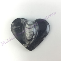 MeldedMind Orthoceras Raised Heart 2.63in Natural Black Stone 148