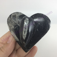 MeldedMind Orthoceras Raised Heart 2.63in Natural Black Stone 150