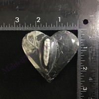 MeldedMind Orthoceras Raised Heart 2.63in Natural Black Stone 150