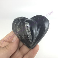 MeldedMind Orthoceras Raised Heart 2.50in Natural Black Stone 151