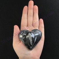 MeldedMind Orthoceras Raised Heart 2.50in Natural Black Stone 151