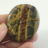 MeldedMind Natural River Jasper Palm Smooth Worry Stone 2in Grey Brown Green 068