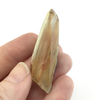 MeldedMind Amphibole Quartz Point 2in Natural Angel Phantom Crystal 106