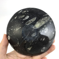 MeldedMind Orthoceras Bowl with Clear Quartz Tumbles Natural Black Stone 287