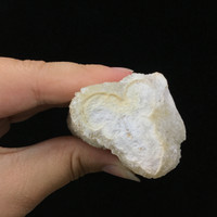 MeldedMind Quartz Stalagmite 4.19in Natural White Crystal India 213