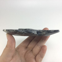 MeldedMind Orthoceras Fossil Incense Holder 4.38in Natural Black Stone 059