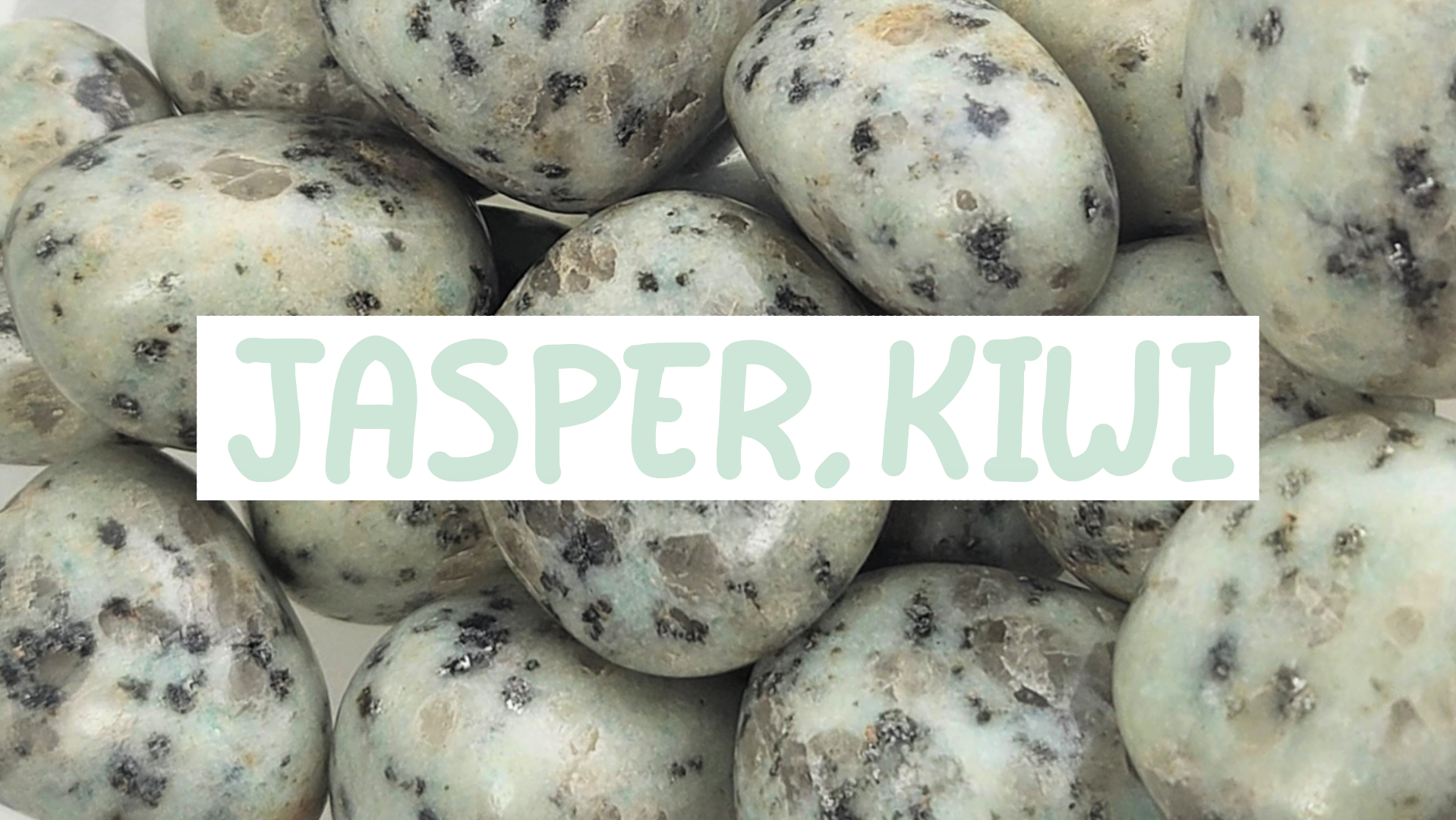 jasper-kiwi-thumbnail.png