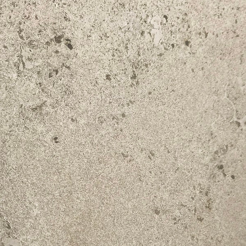 Rustic buff limestone sample has embedded fossils and fossil voids Rustic buff limestone sample has embedded fossils and fossil voids