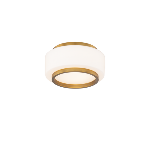Preston Flush Mount Light (FM-12508)