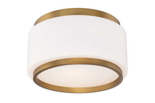 Preston Flush Mount Light (FM-12516)