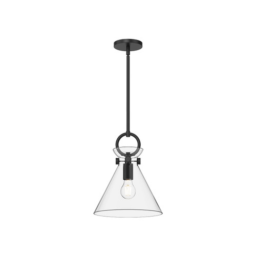 Emerson 11-in Matte Black/Clear Glass 1 Light Pendant