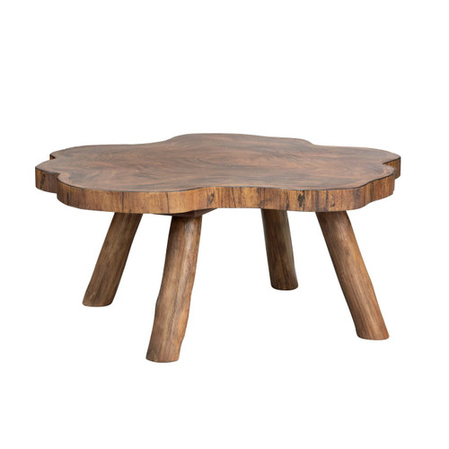 Free Form Coffee Table_Cocktail Table (CVFDR1001)