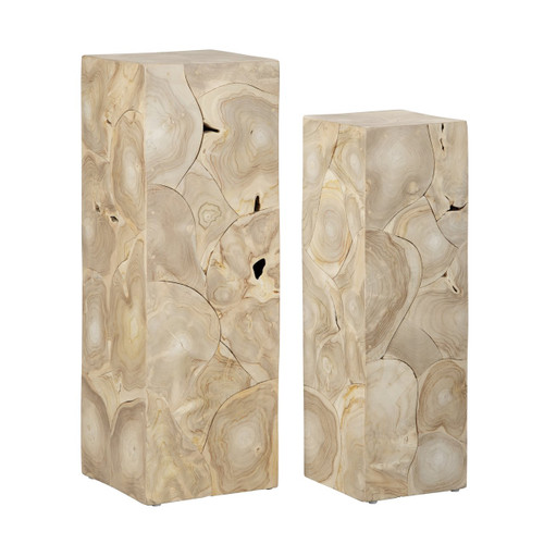 2 Piece Accent_End Table Set (CVFDR1245)