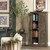 2-Door Tall Accent Cabinet (CVFNR5341)
