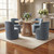 Set of 2 Dining Chairs (CVFVRD447)