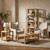 Upholstered Accent Arm Chair (CVFZR5137)