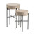 2 Piece Accent_End Table Set (CVFZR6108)