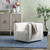Upholstered Accent Arm Chair (CVFZR6160)